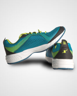 sports shoe4