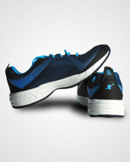 sports shoe5